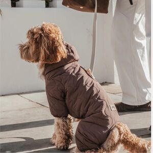 By Teddy Chocolate | The Capsule Quilted Bodysuit - Dog Jacket in Brown